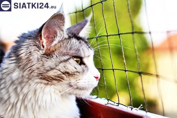 Siatki Grodzisk Mazowiecki - Siatka na balkony dla kota i zabezpieczenie dzieci dla terenów Grodziska Mazowieckiego