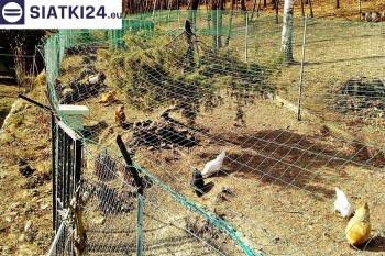 Siatki Grodzisk Mazowiecki - Siatka na woliery - zabezpieczenia ptaków w hodowli dla terenów Grodziska Mazowieckiego